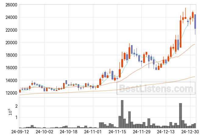 [100840] SNT에너지 주가 전망 자료 : 일봉 차트 2025.01.03